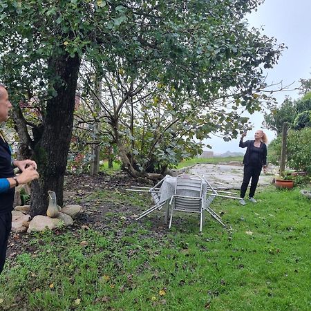 Alojamiento Casa Carlota Villadesuso Εξωτερικό φωτογραφία