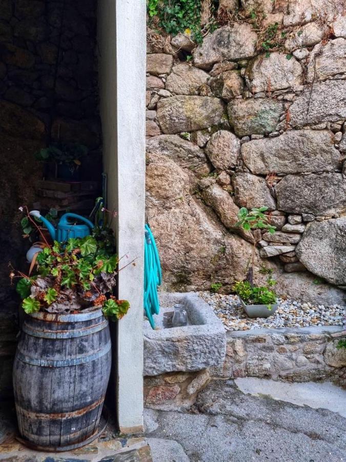 Alojamiento Casa Carlota Villadesuso Εξωτερικό φωτογραφία