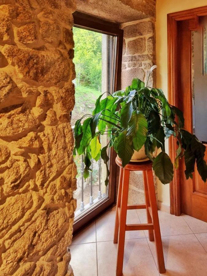 Alojamiento Casa Carlota Villadesuso Εξωτερικό φωτογραφία