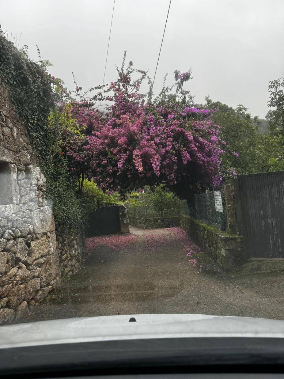 Alojamiento Casa Carlota Villadesuso Εξωτερικό φωτογραφία